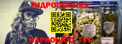 гашик Гагарин