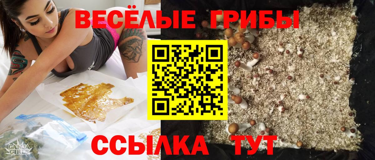 Галлюциногенные грибы мицелий Нижний Тагил